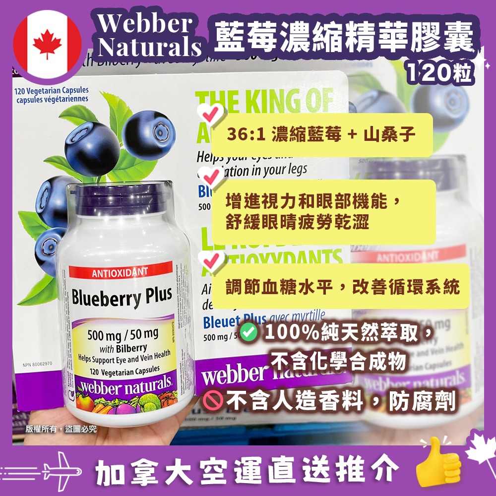 【加拿大空運直送】Webber Naturals Blueberry Plus 藍莓濃縮精華液膠囊 120粒